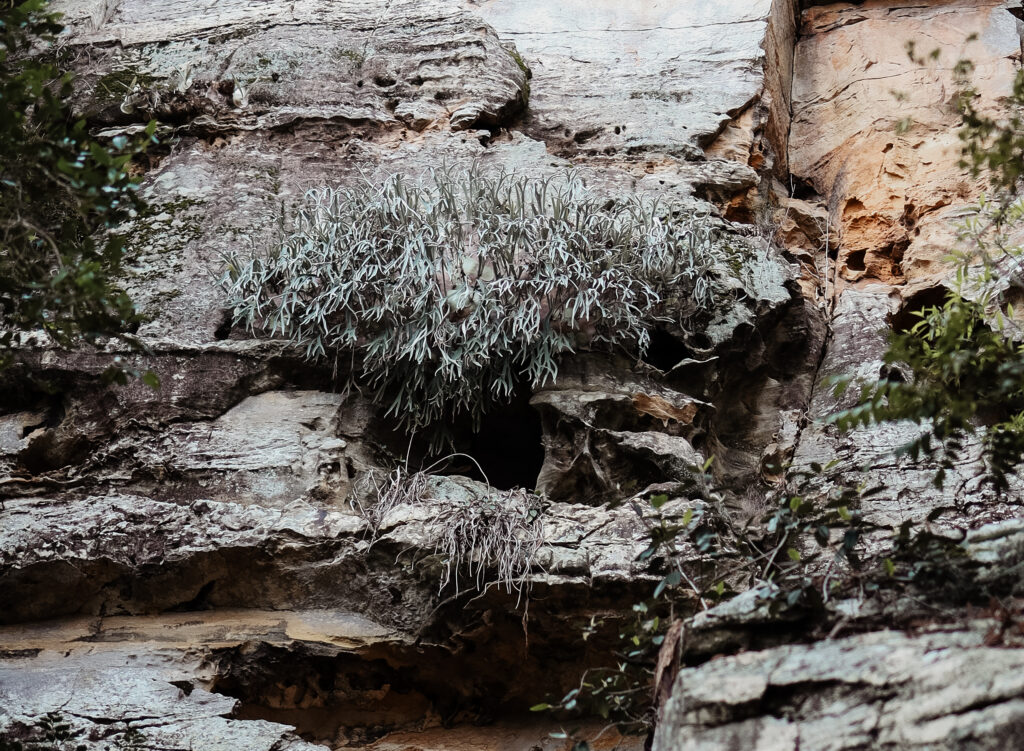 CaniaNationalPark-28